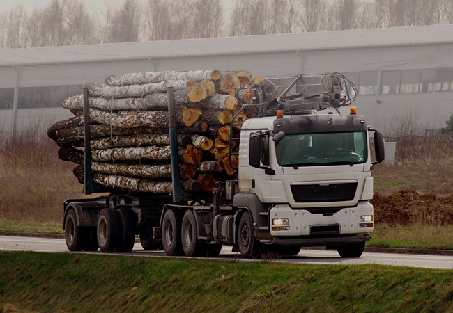 O que é carga seca?