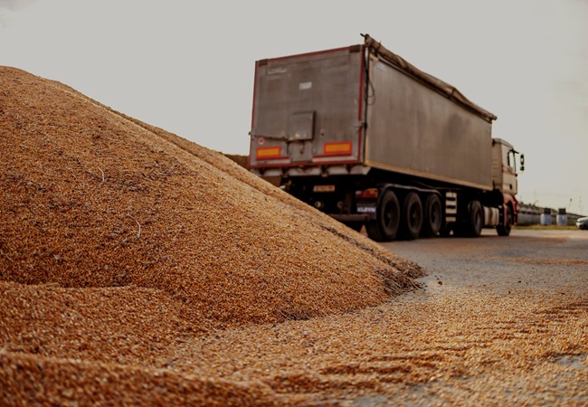 O que é carga seca e como funciona o transporte? O que é carga seca e como funciona o transporte?